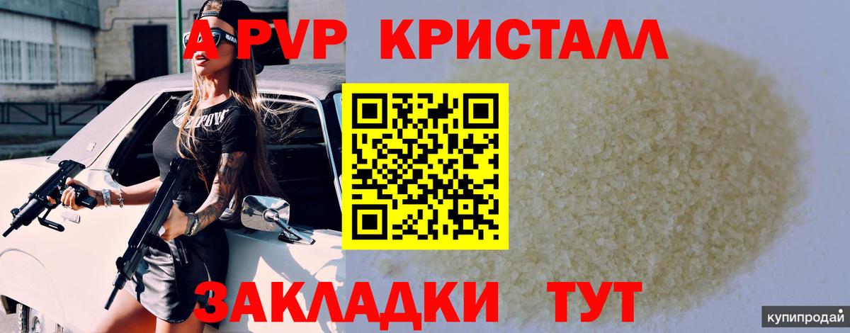 A PVP СК Заринск