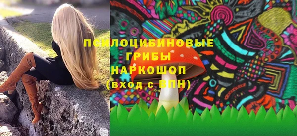 трава Лабытнанги