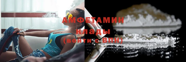шишки Ладушкин