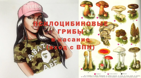 ECSTASY Лагань