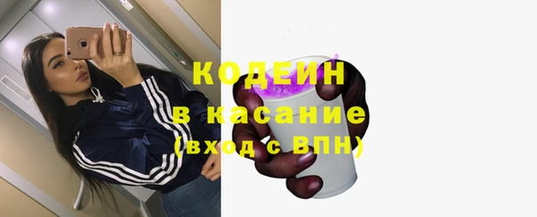 ECSTASY Лагань