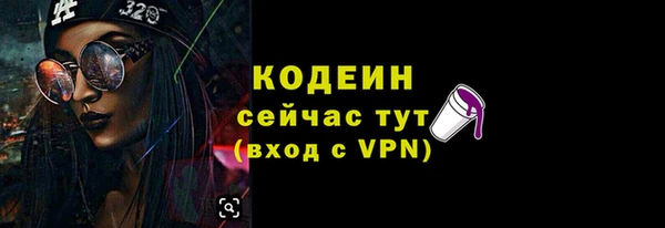 шишки Ладушкин