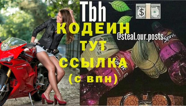 ECSTASY Лагань