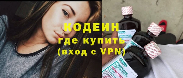 ECSTASY Лагань