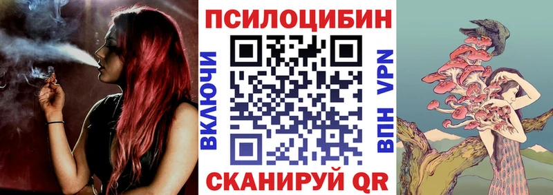 hydra как войти  Заринск  Псилоцибиновые грибы MAGIC MUSHROOMS 
