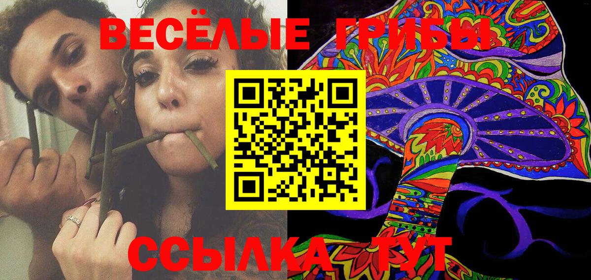 Псилоцибиновые грибы Cubensis Заринск