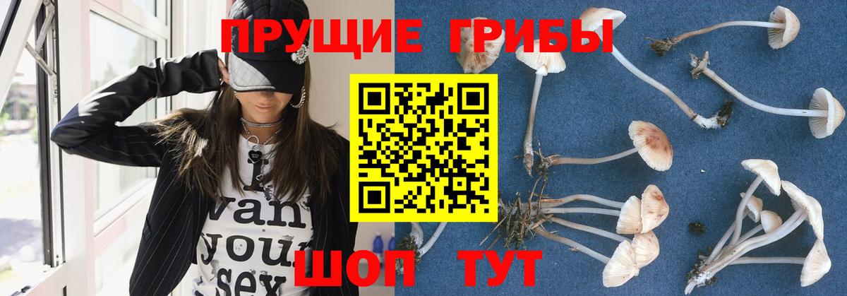 Псилоцибиновые грибы мицелий  Заринск 